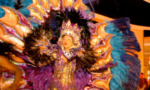 deluxe-costume-carnival-experience-RJ91-gallery01